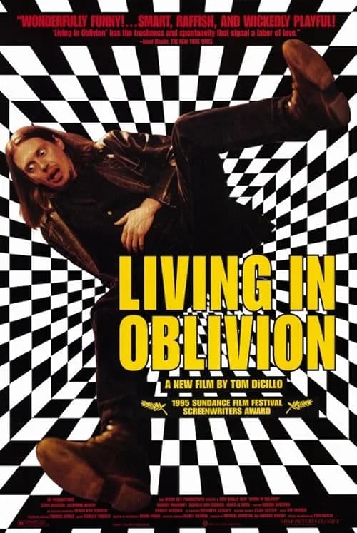 Living in Oblivion film posteri